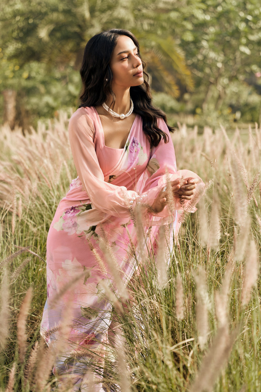 Alea Cotton Candy Ombre Saree - Studio 113 Indian designer saree for women