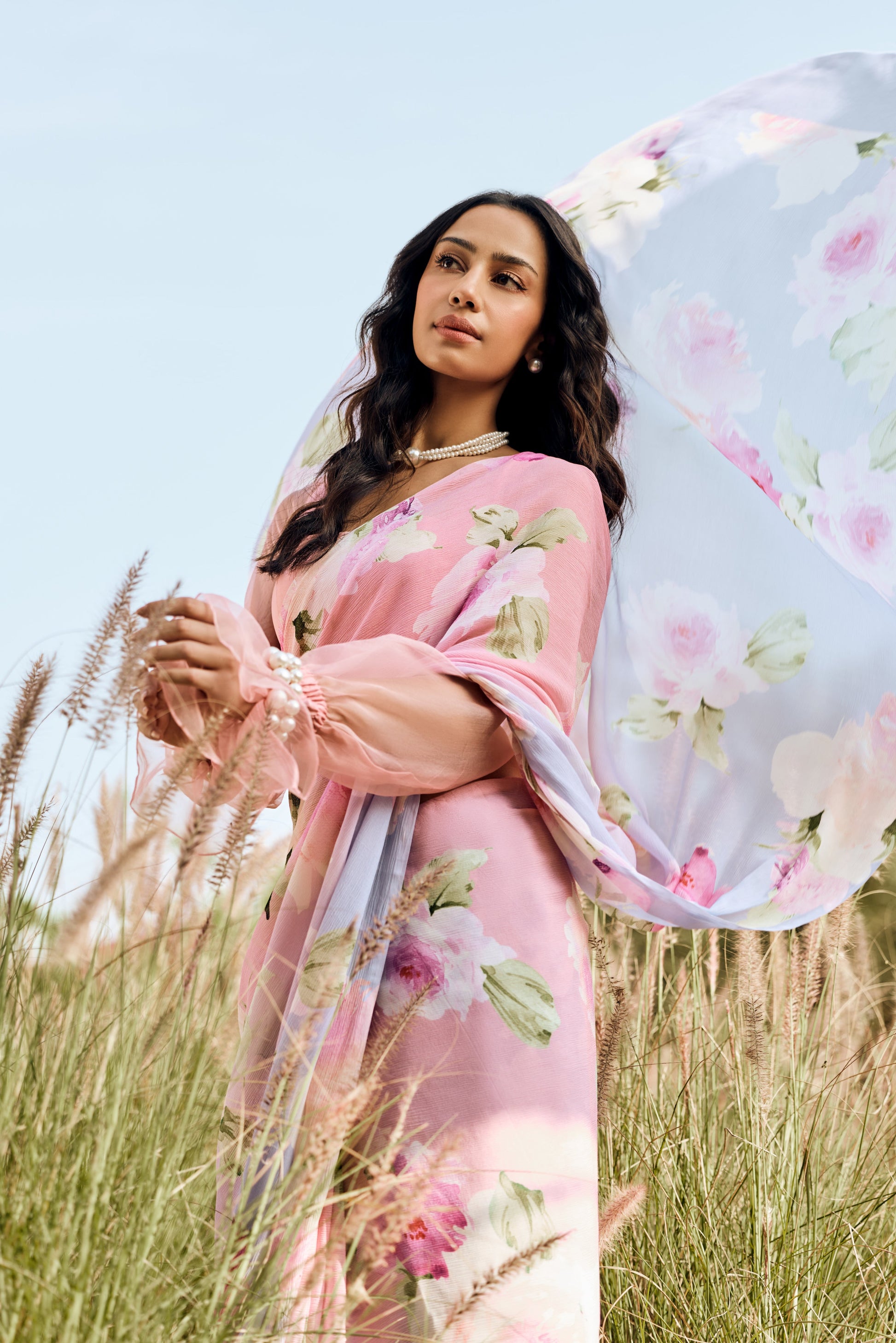 Alea Cotton Candy Ombre Saree - Studio 113 Indian designer saree for women